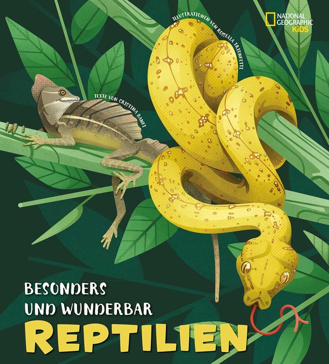Produktbild National Geographic Besonders und wunderbar: Reptilien (Deutsch, Cristina Banfi, Claudia Theis-Passaro, 2021)