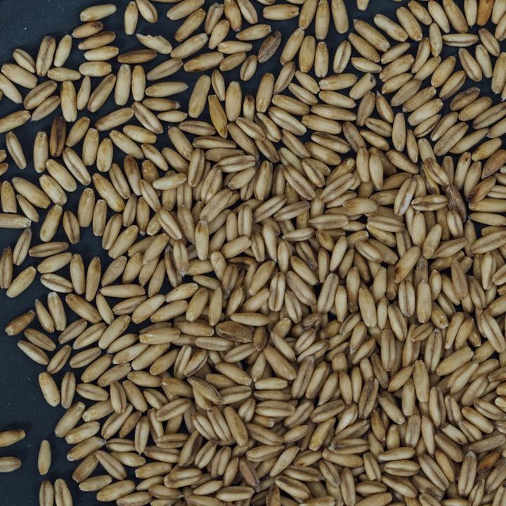 Produktbild Altbachmühle Bio Hafer geschält (1000 g)