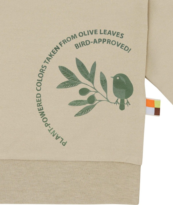 Actual product image loud + proud Sweatshirt dyed with vegetable dyes (68)