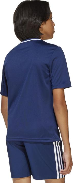 Produktbild adidas Campeon 25 Trikot Kids (164)