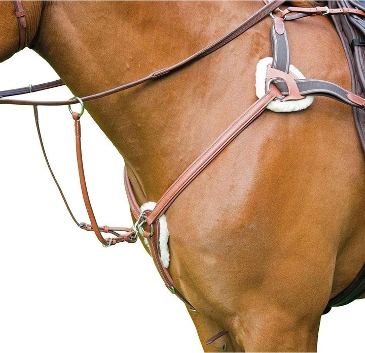 Immagine prodotto Avignon UTER365 P