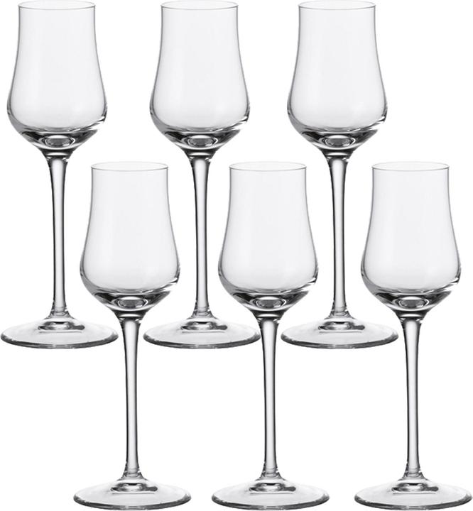 Actual product image Leonardo Ciao+ (0.85 dl, 1 x, Liqueur glasses + grappa glasses)