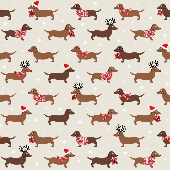 Weihnachtsdackel (20 x, 33 x 33 cm)