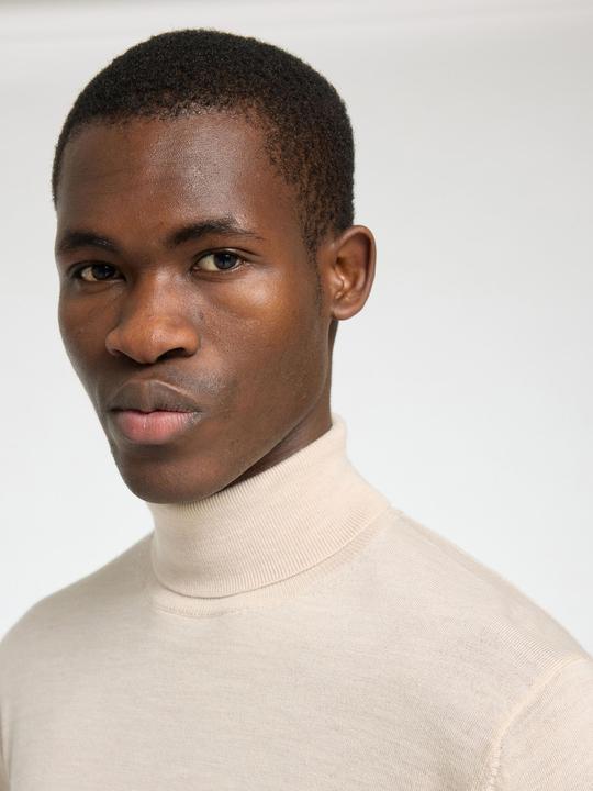 Actual product image Selected Homme Slhtray Ls Knit Merino Roll Neck Noos (XXL)