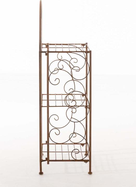Immagine prodotto Swisshandel24 Scaffale da terra Rosa, marrone antico (45,5 x 24 x 81,5 cm)