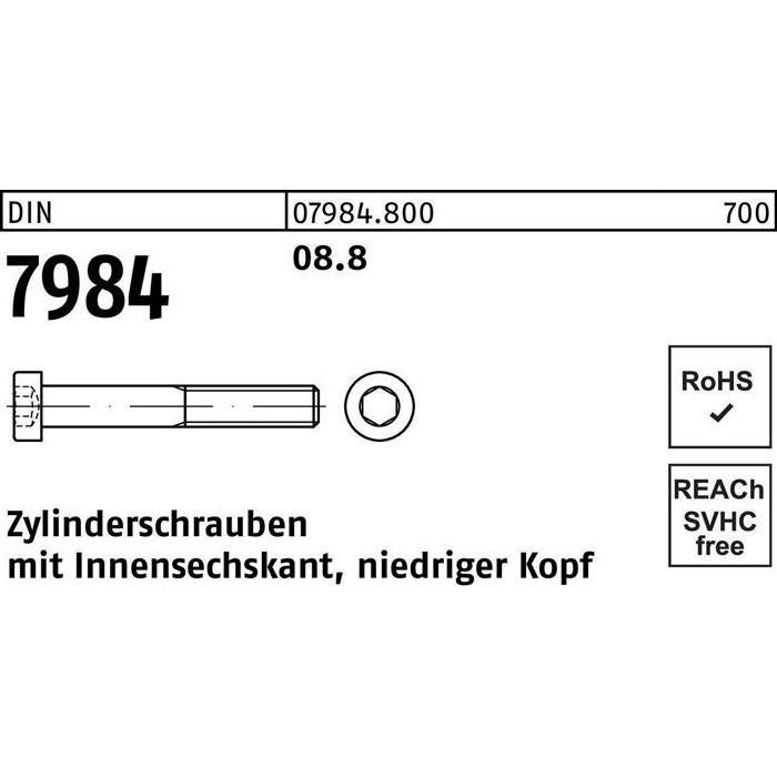 Reyher, Schrauben, Zylinderschraube DIN 7984 m.Innensechskant M 6 x 30 8.8 (500 Schrauben pro Stück)