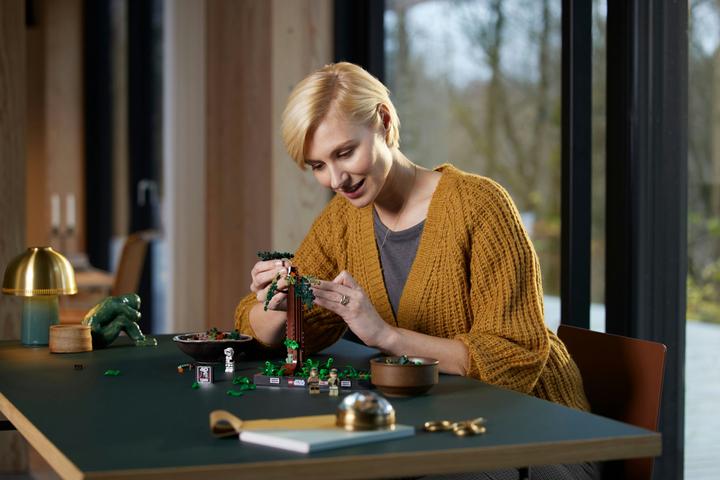 Image du produit LEGO Poursuite sur Endor - Diorama (75353, LEGO Star Wars)