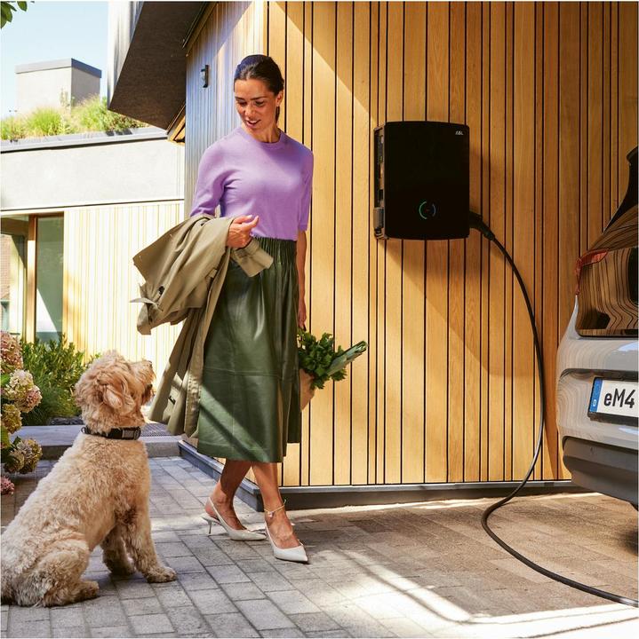 Immagine prodotto ABL Wallbox eM4 Twin REEV 100000183 conforme alle norme di calibrazione, Extender, 11/22 kW (Tipo 2, 22 kW, 32 A, Tipo 2)