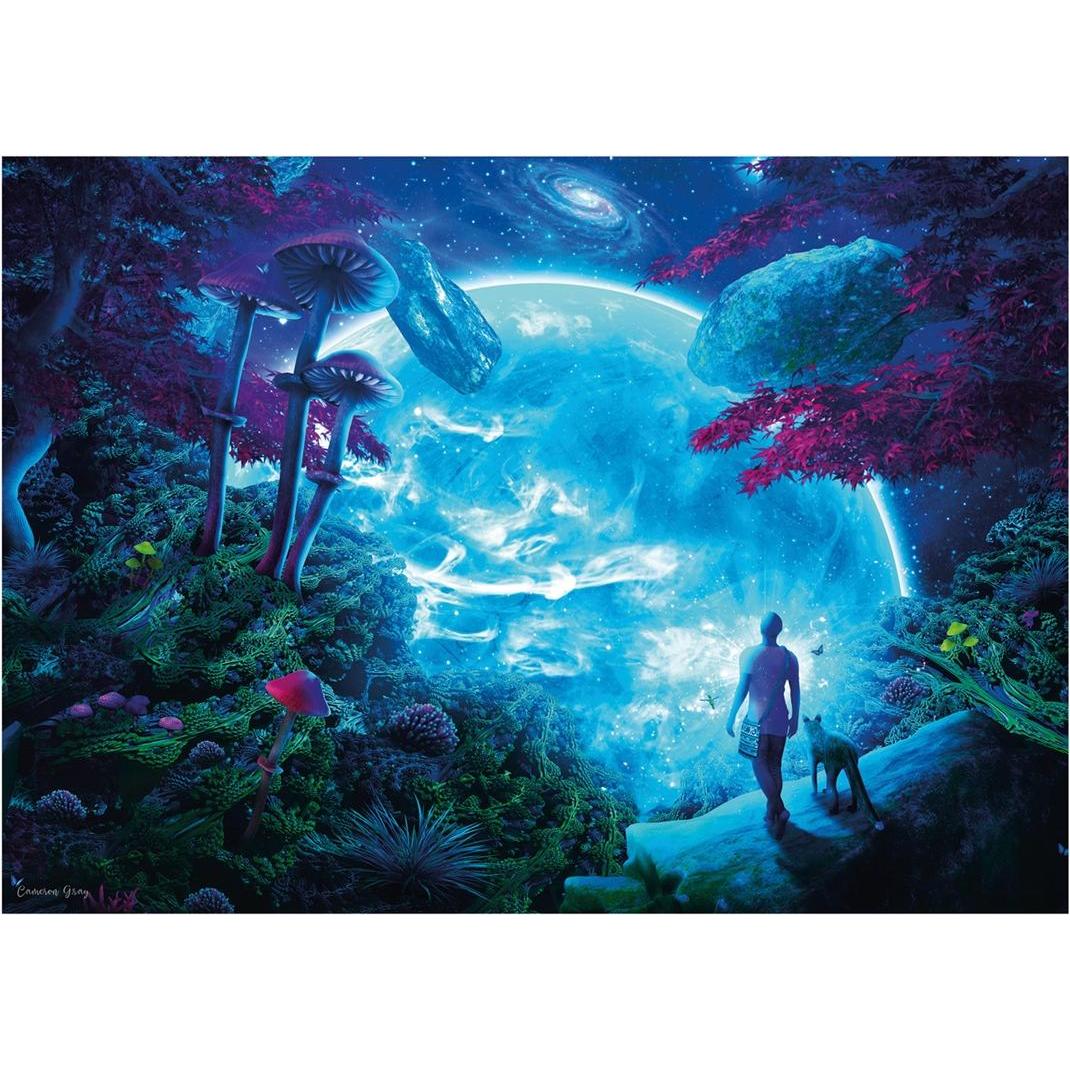 Thumbnail - Schmidt Spiele Himmelsfantasie 1000 Teile (1000 Teile)