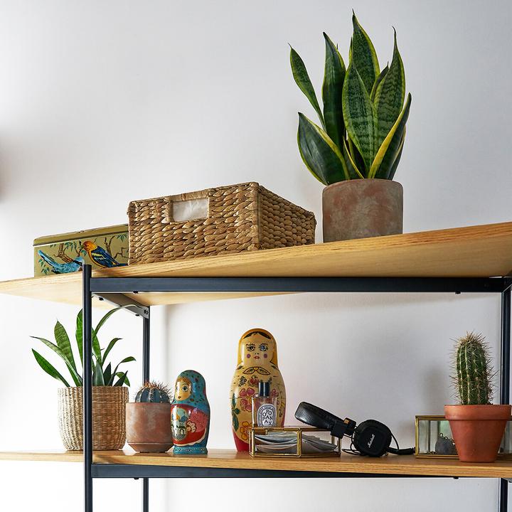 Immagine prodotto La Redoute Interieurs Lomopi (31 cm)