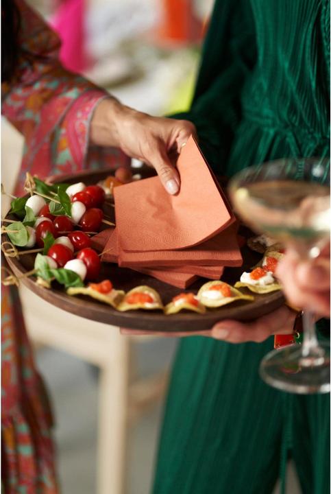 Image du produit Duni Servir (250 pcs, 24 x 24 cm)