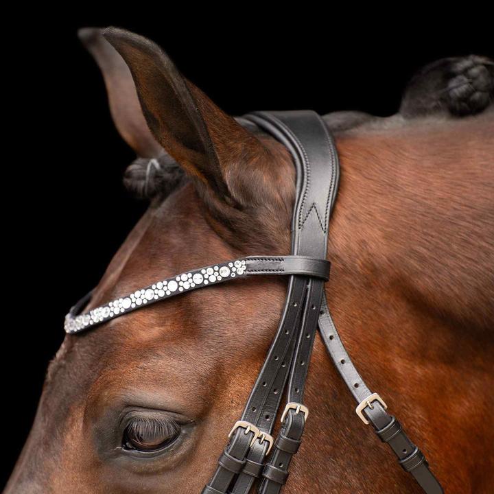 Immagine prodotto Imperial Riding Olympia