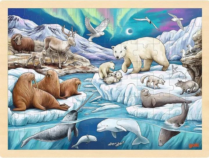 Goki Einlegepuzzle Polarnacht 96 Teile (96 Teile)
