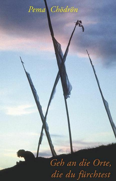 Actual product image Geh an die Orte die du fürchtest (German, Pema Phoedron, 2011)