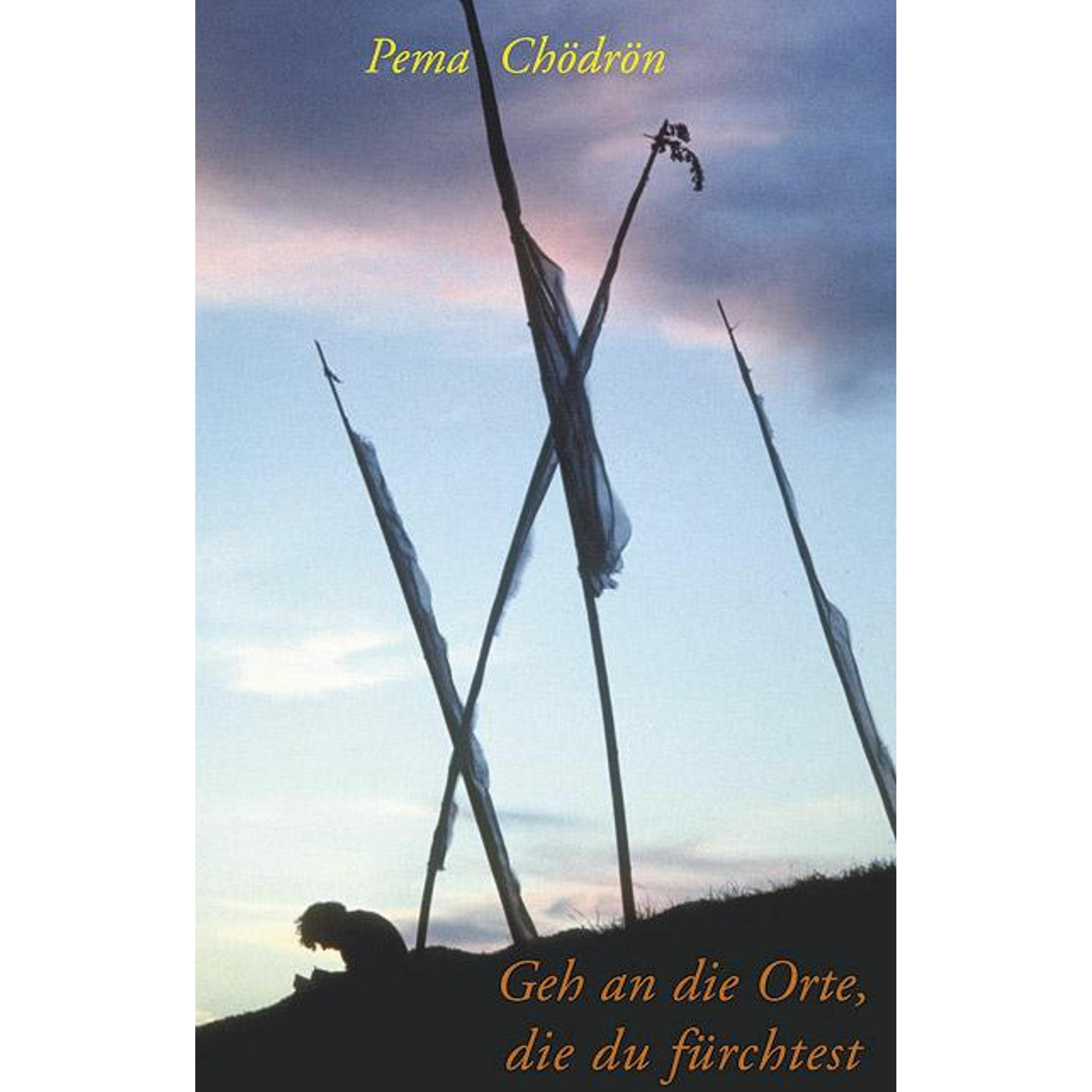 Geh an die Orte die du fürchtest, Ratgeber von Pema Chödrön