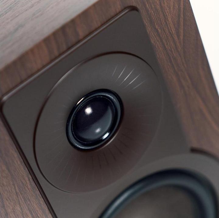 Actual product image Dali Kupid Dark Walnut (1 pair)