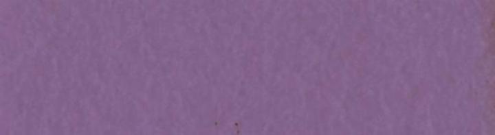 Lilacs