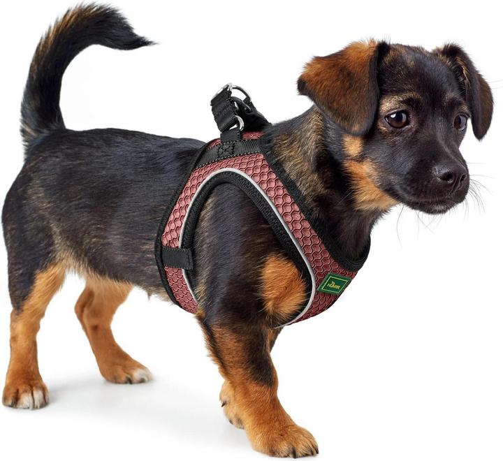 Actual product image Hunter Dog harness Hilo Comfort XXS-XS, pink - (401673969788) (XXS, Dog, Dog sport)