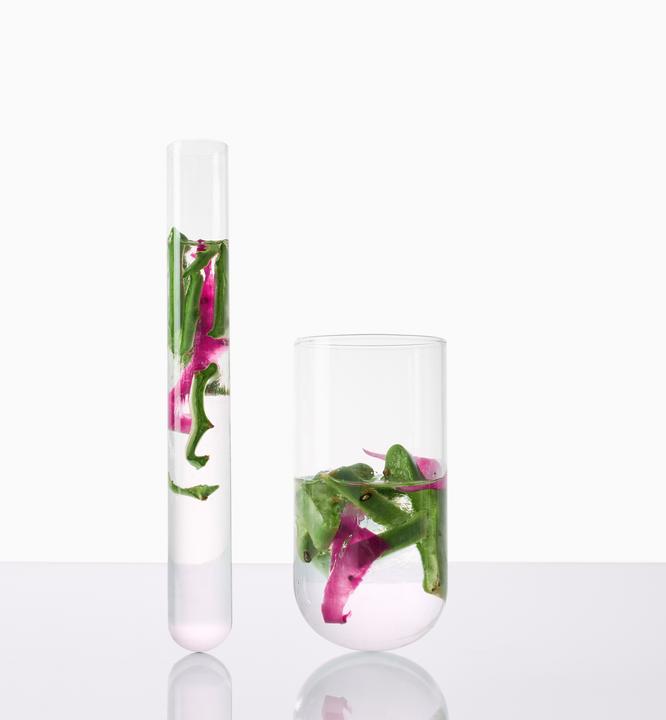 Produktbild Klorane Feigenkaktus (200 ml, Flüssiges Shampoo)