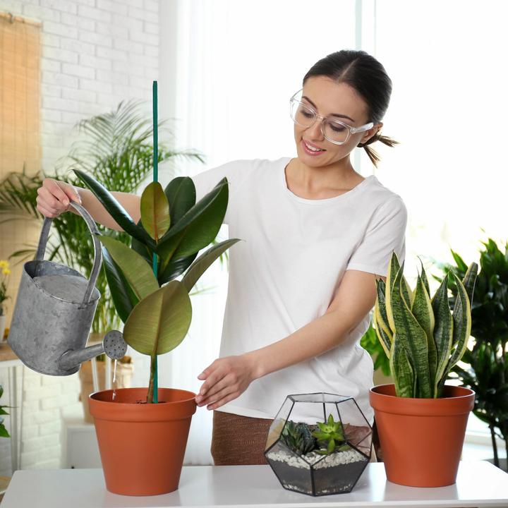 Image du produit Relaxdays 6x sacs sous vide