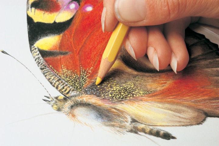 Actual product image Caran d'Ache Prismalo Aquarelle Metallschachtel (Multicoloured, 80 x)