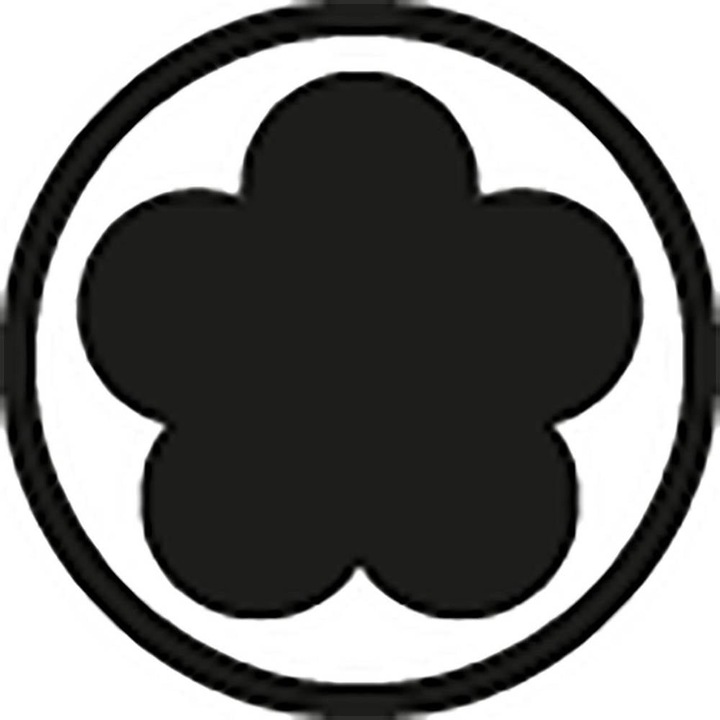Immagine prodotto Wiha Cacciavite Pentalobe 266P (5-Lobe (Pentalobe))