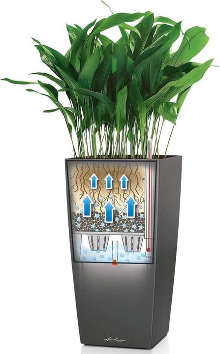 Produktbild Lechuza Cubico (29.50 cm)