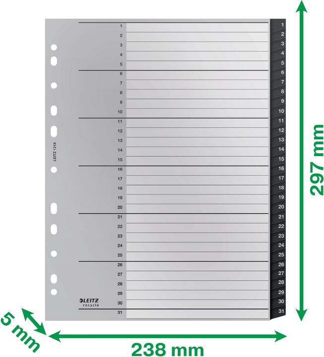 Produktbild Leitz Register Recycle 1-31
