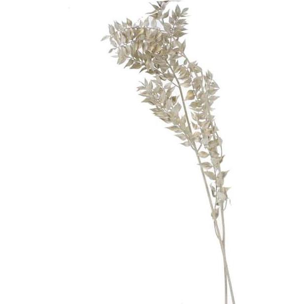 Philippe, Kunstpflanzen, Kunstblumen - Ruscus - platin - 2 Zweige - ca. 70 cm (70 cm)