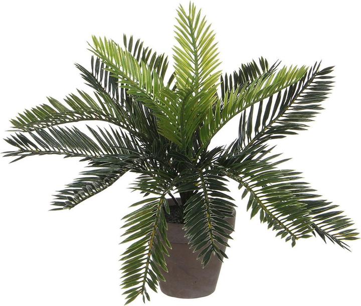 Mica Decorations Decoratieve palmplant van keramiek (11,5 x 33 cm) (33 cm)