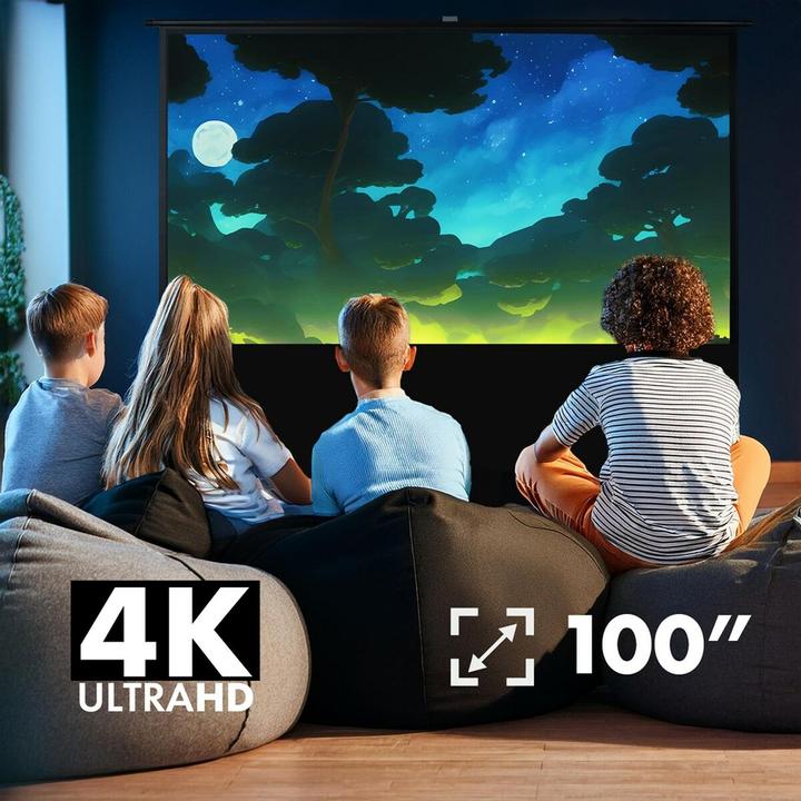 Actual product image Maclean MC-213 (100", 16:10)