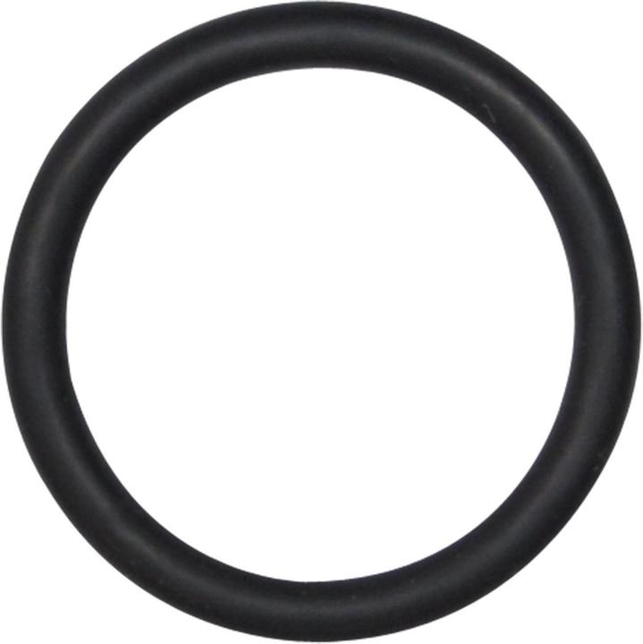 SW-Stahl 07900L-RING Sicherungsring für 3/4" Einsätze