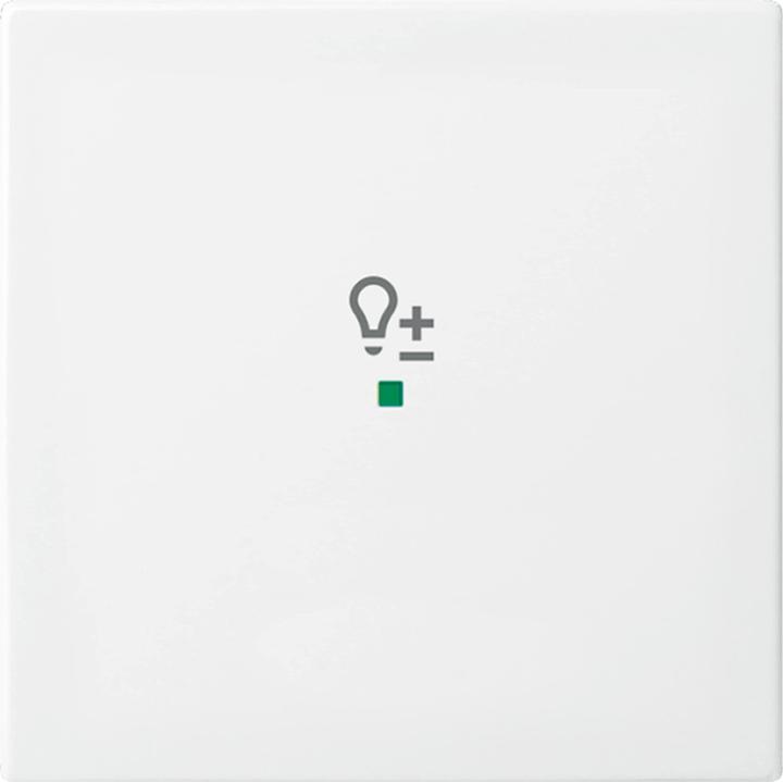 Actual product image Busch-Jaeger Rocker