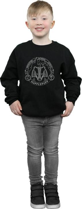 Image du produit - Sweat HUFFLEPUFF SEAL - Garçon (116)