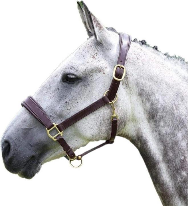 Immagine prodotto Universal Textiles Reise Pferdehalfter Leder