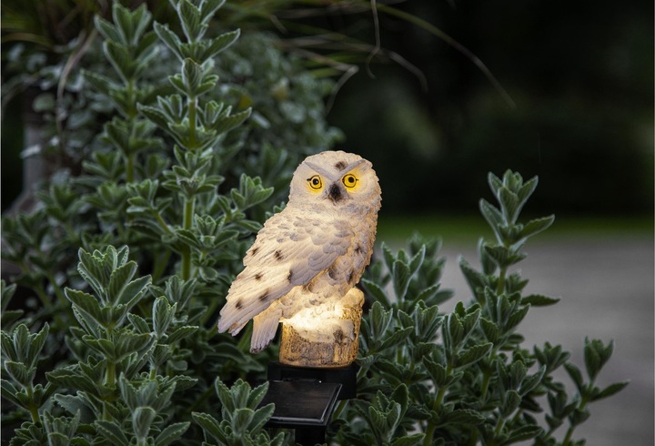 Produktbild Star Trading Owl (IP44)