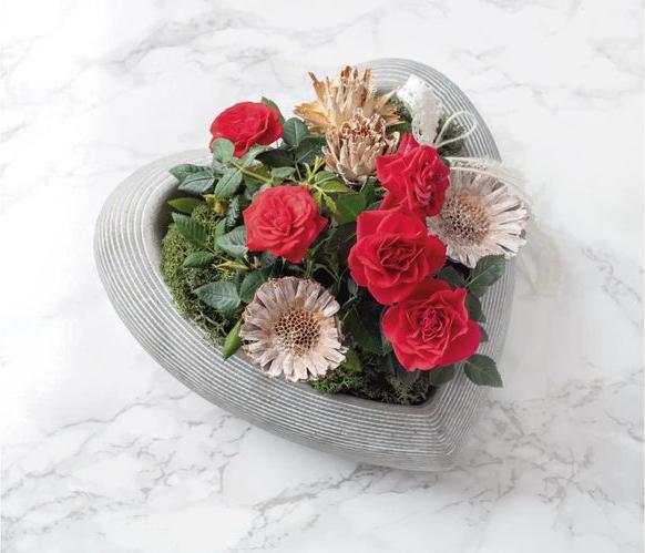 Image du produit Opiflor 207470