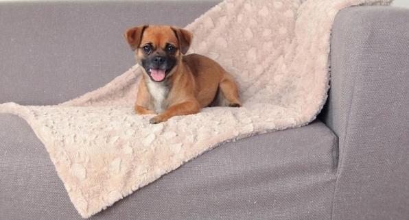 Actual product image Trixie Cosy (Dog)