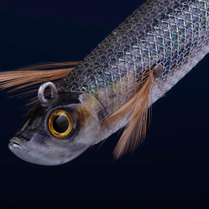 Produktbild Caperlan Typ Run Ebifish (3 cm)