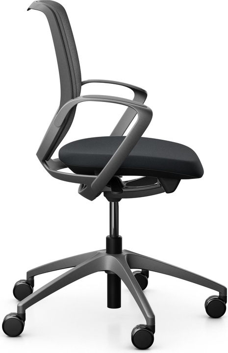 Actual product image Giroflex Netzrücken mit Armlehnen 313