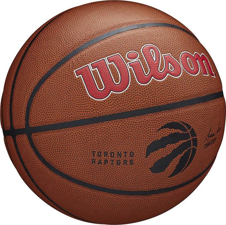 Produktbild Wilson Nba Team Alliance Basketball Tor Raptors (7)