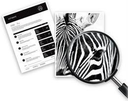 Actual product image