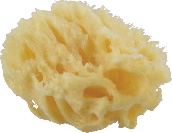 Image du produit Frina Éponge naturelle