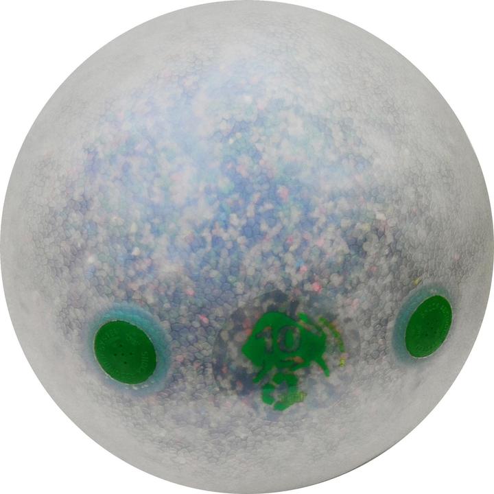 Produktbild Trial Slam Ball Recycle (10 kg, 310 mm)