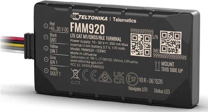 Teltonika Telematica FMM920