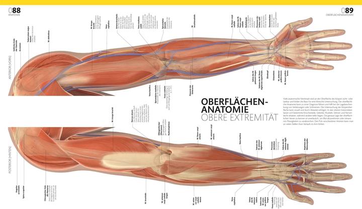 Produktbild Anatomie und Physiologie (Deutsch, Alice Roberts, Andreas Held, Simone Blass, Nikola Schmidt, 2023)
