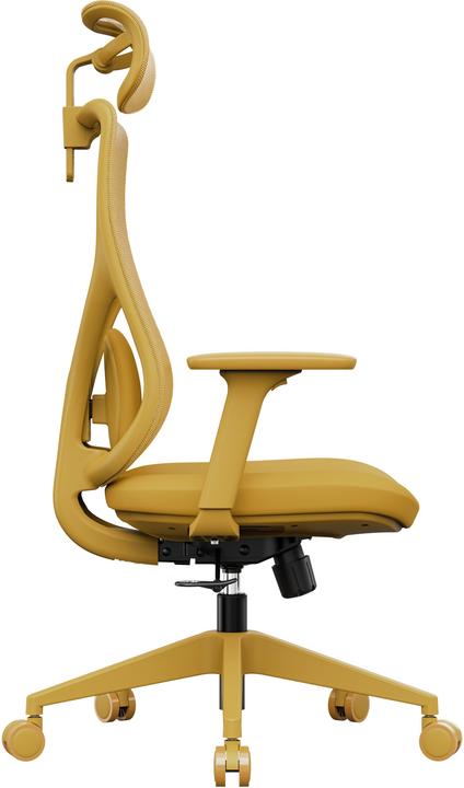 Actual product image Sense7 Moyo
