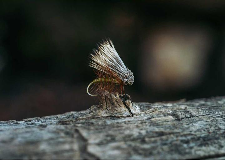 Actual product image Tiemco TMC100