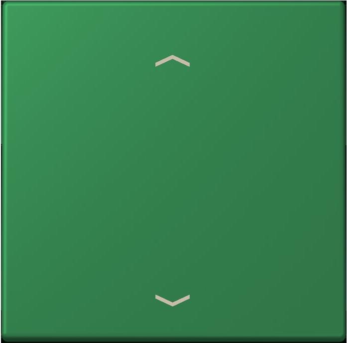 Produktbild JUNG Wippe 1fach m. Pfeilsymb.