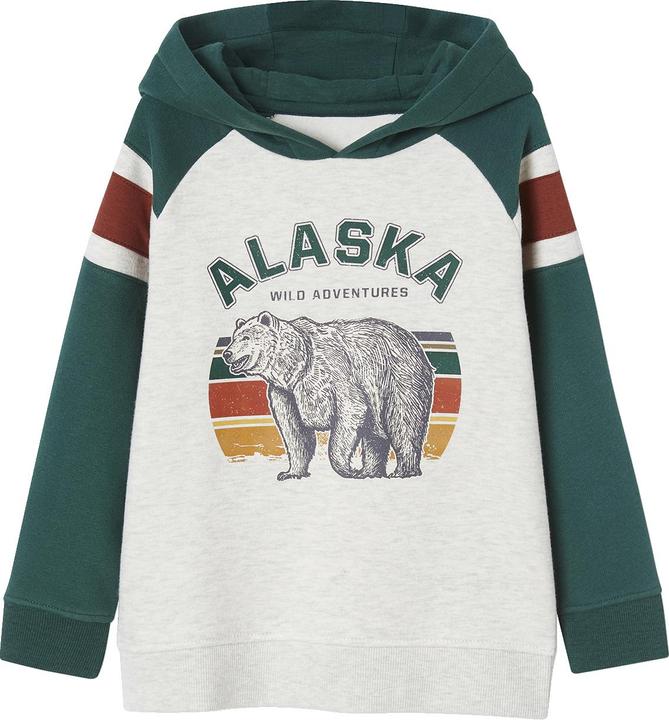 Actual product image Vertbaudet Boys' hooded sweatshirt (86)